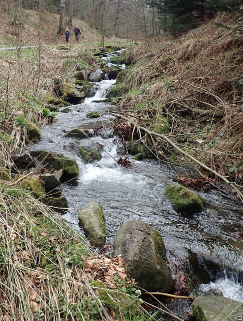 img00056.jpg