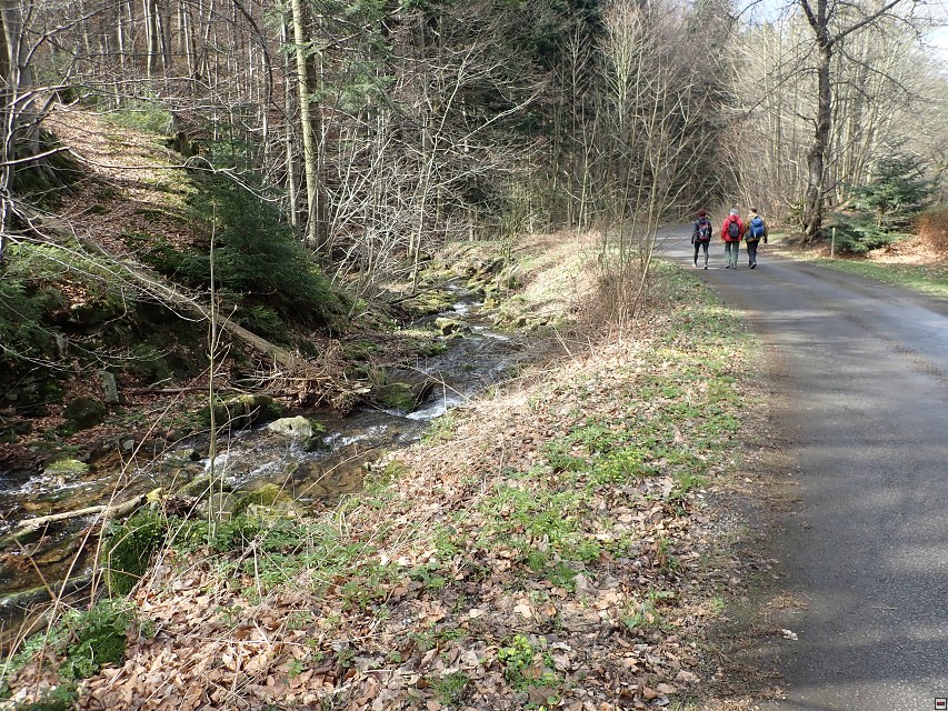 img00060.jpg