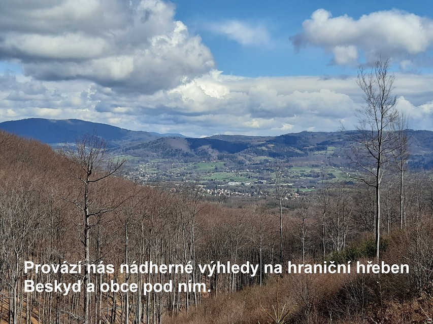 img00017.jpg