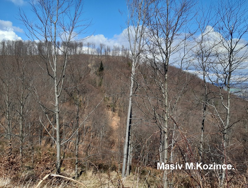 img00020.jpg