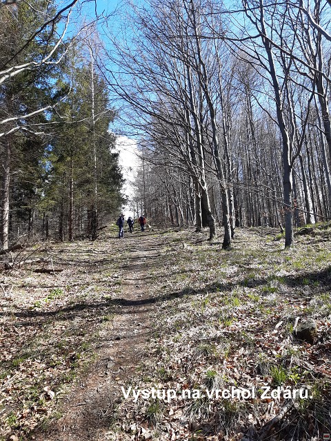 img00021.jpg