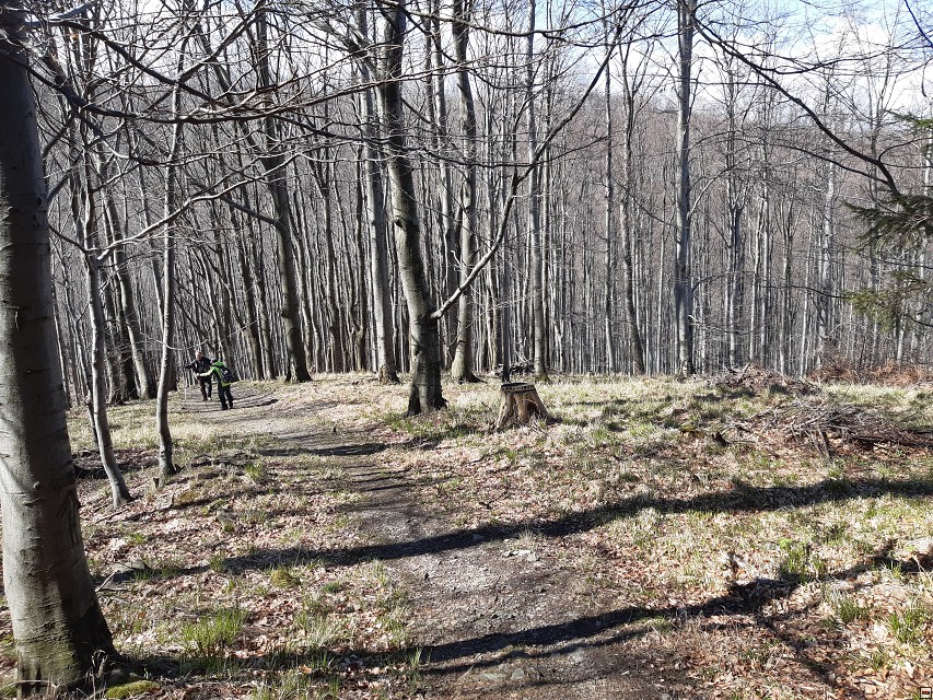 img00022.jpg