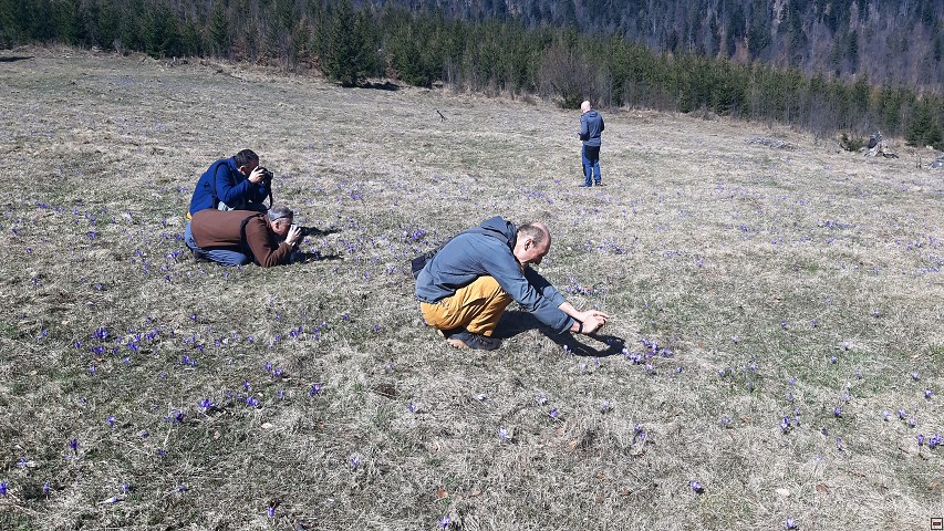 img00005.jpg