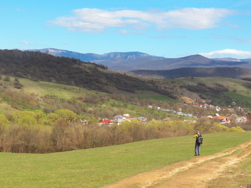 img00008.jpg
