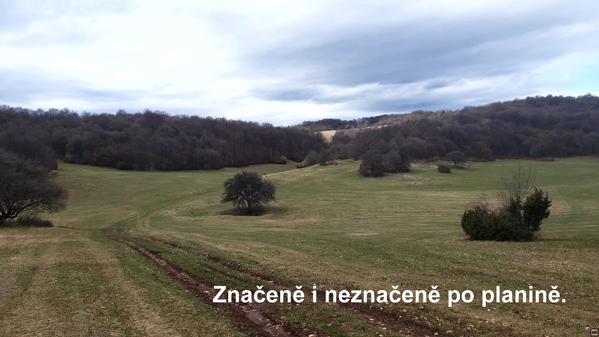 img00013.jpg