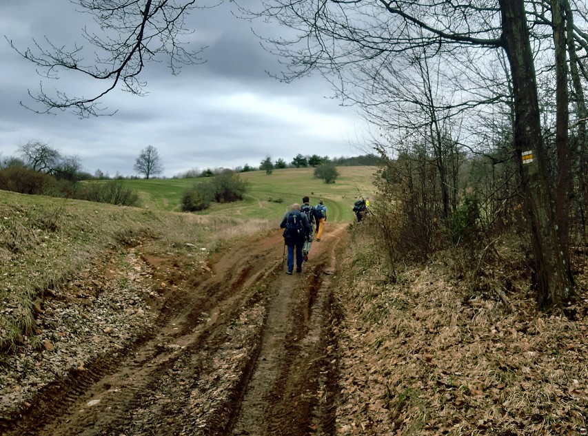 img00016.jpg