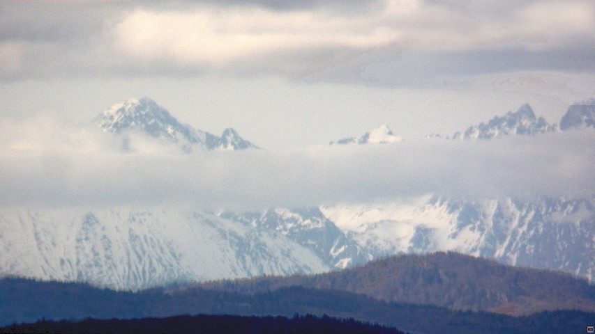 img00031.jpg