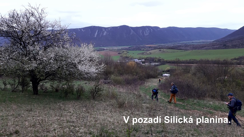 img00036.jpg