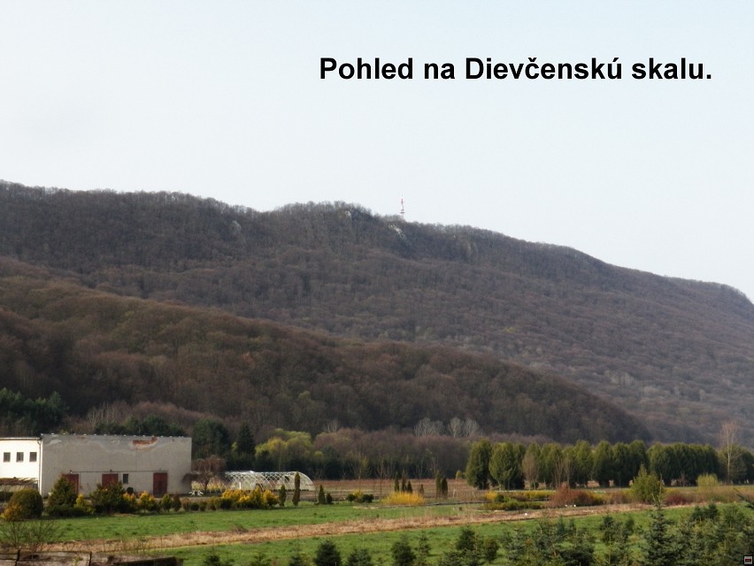 img00004.jpg