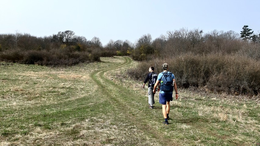 img00010.jpg