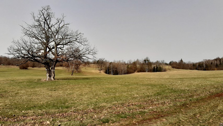 img00013.jpg