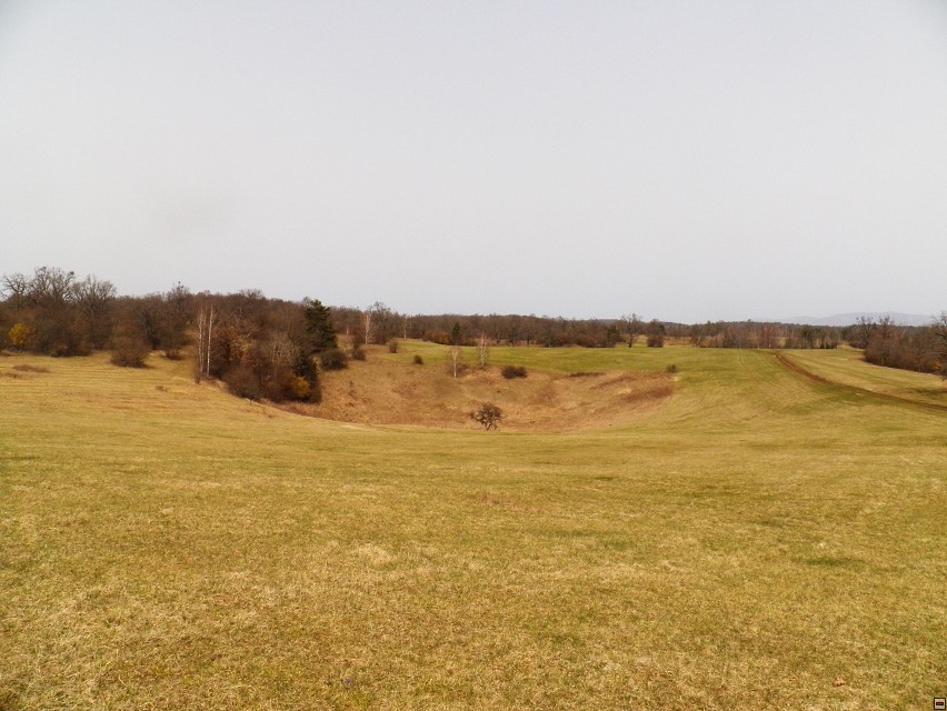 img00014.jpg