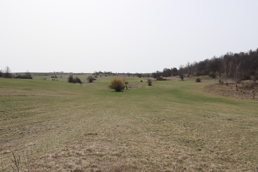 img00015.jpg
