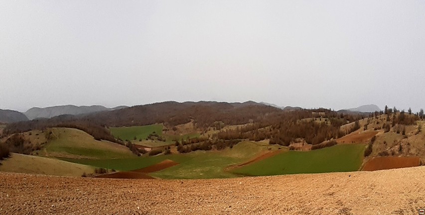 img00017.jpg