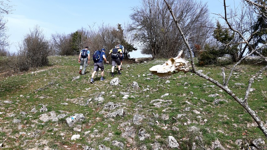 img00021.jpg