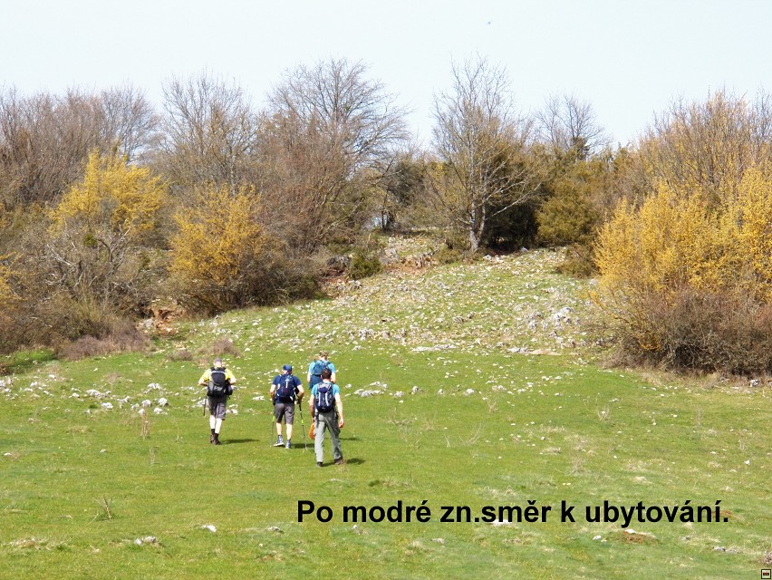 img00022.jpg