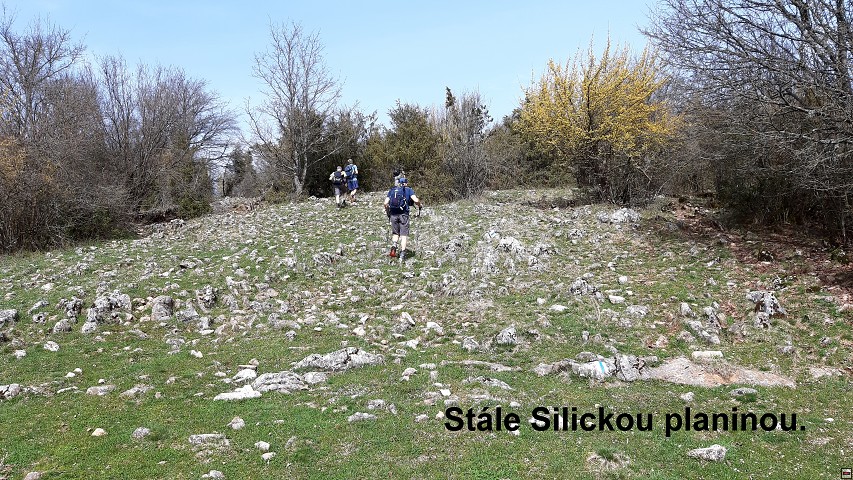 img00023.jpg