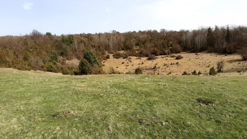 img00024.jpg