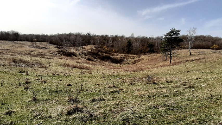 img00025.jpg