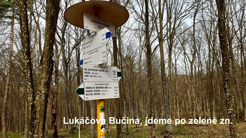 img00030.jpg