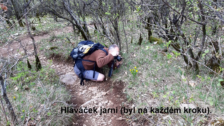 img00002.jpg