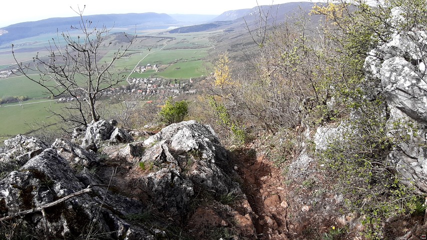img00004.jpg