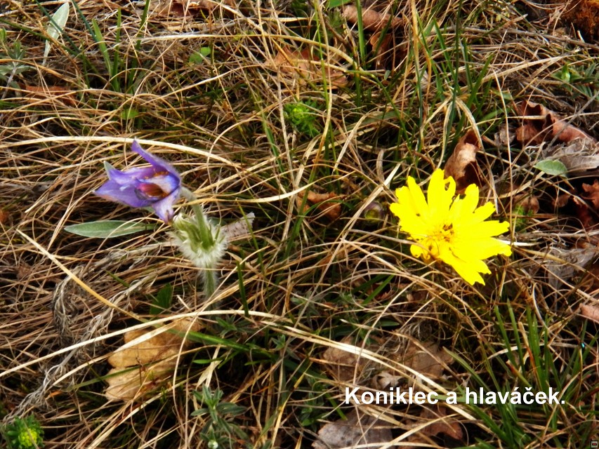 img00016.jpg