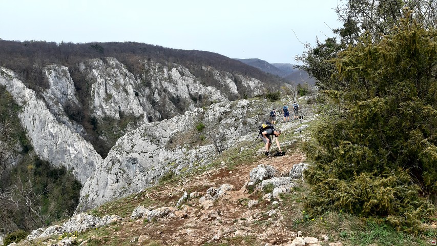 img00017.jpg