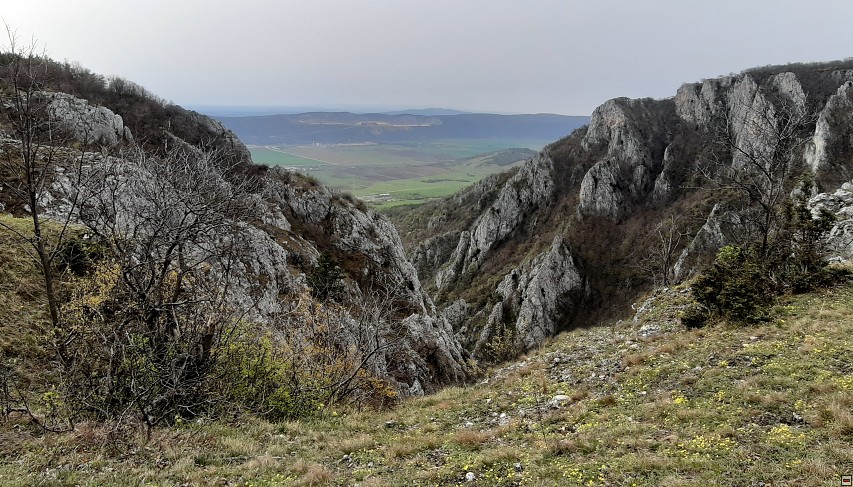 img00018.jpg