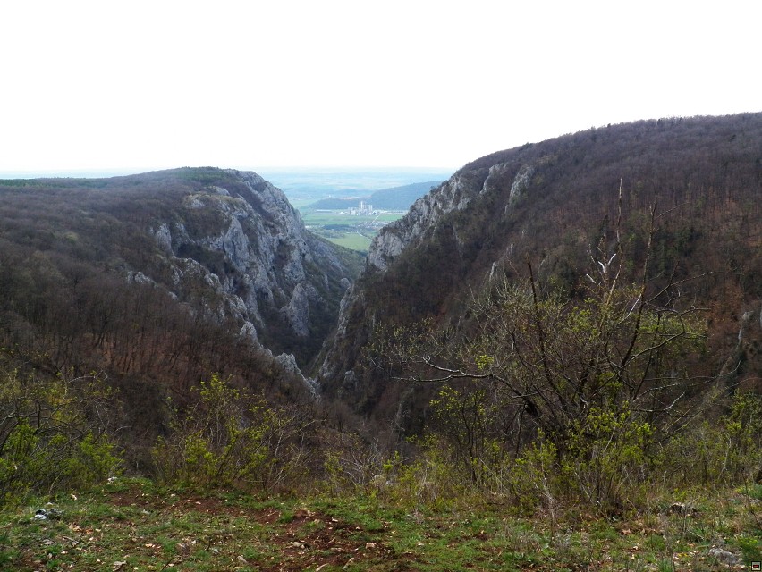 img00020.jpg