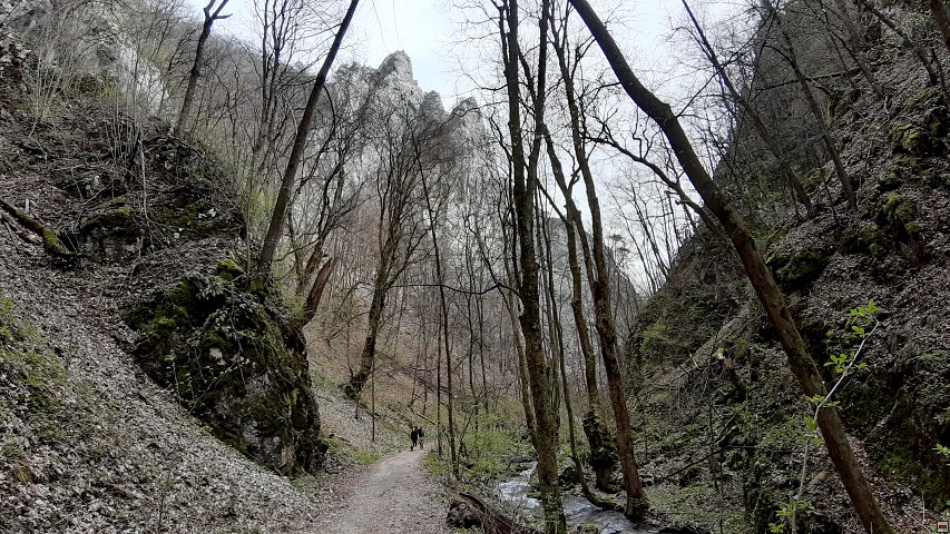 img00027.jpg