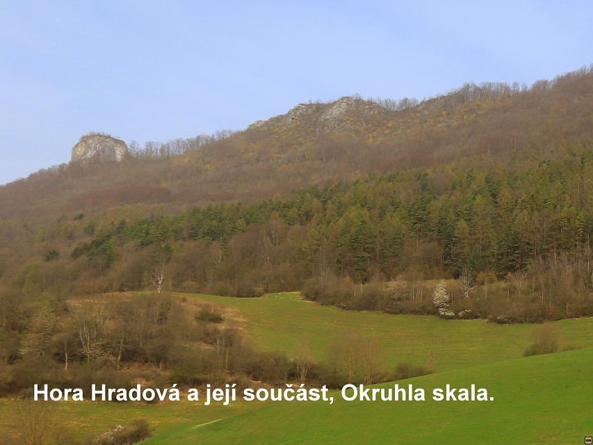 img00004.jpg