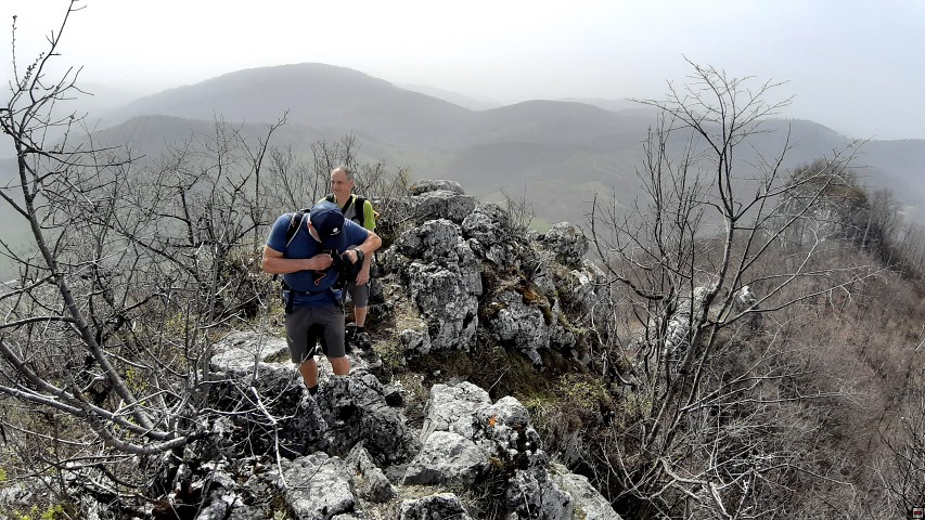 img00025.jpg