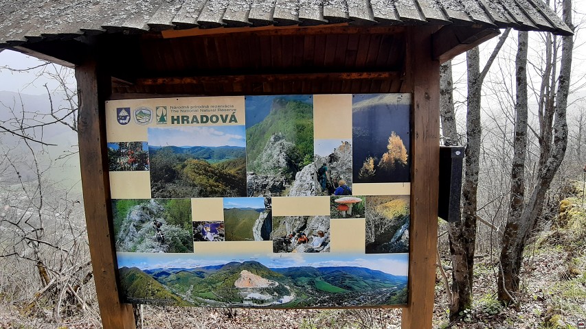 img00035.jpg