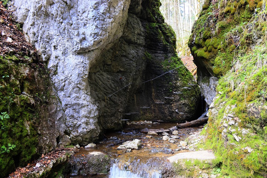 img00056.jpg