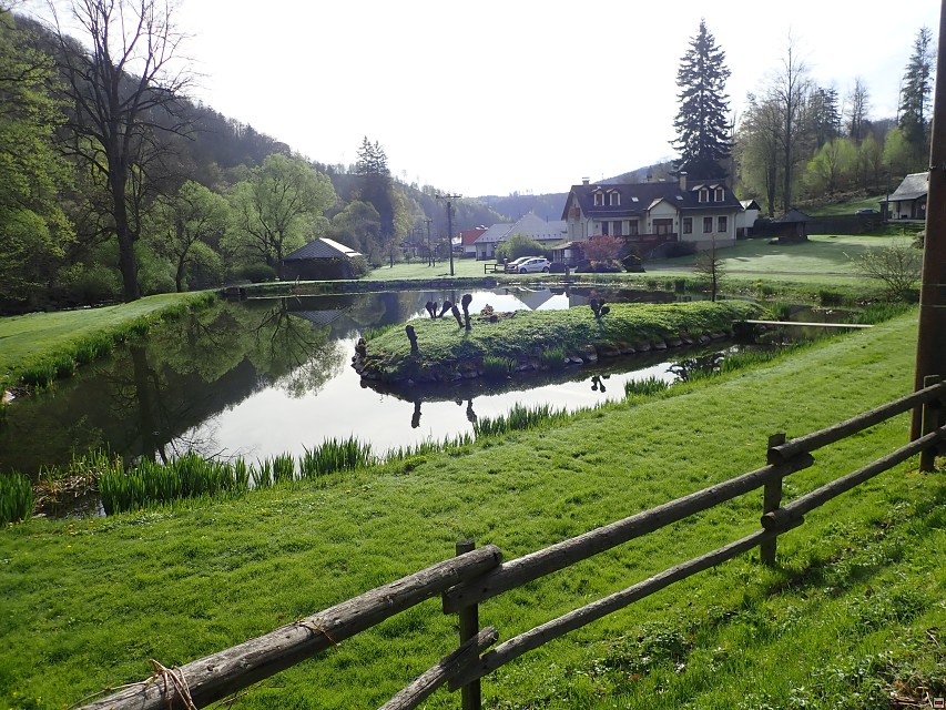 img00006.jpg