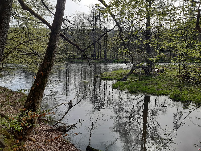 img00016.jpg
