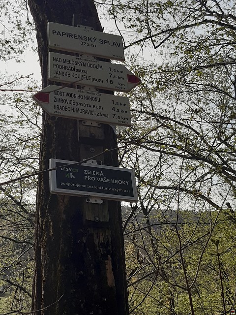img00020.jpg