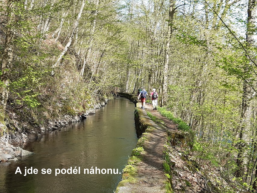 img00029.jpg