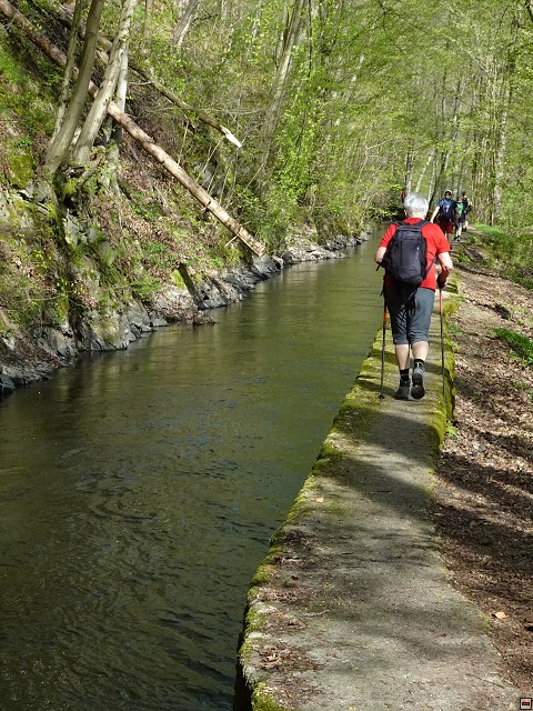 img00031.jpg