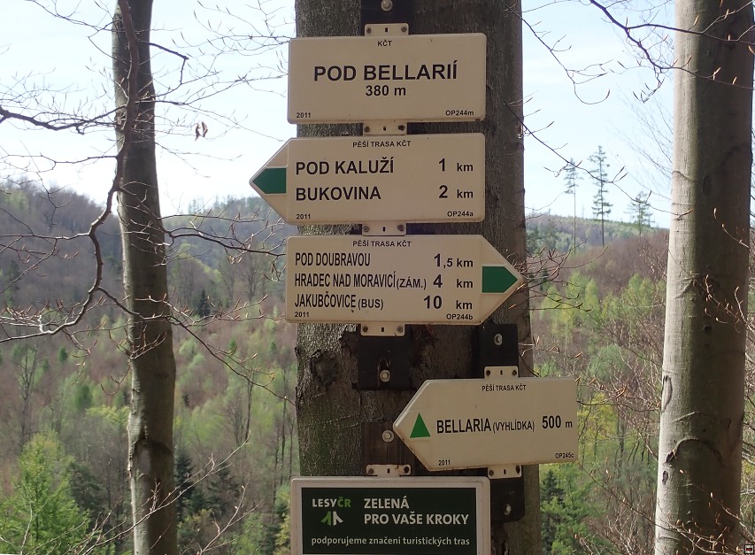 img00065.jpg