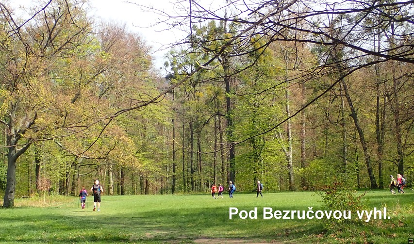 img00070.jpg