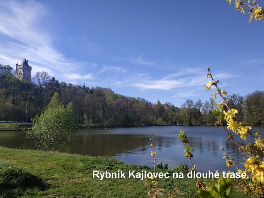 img00071.jpg