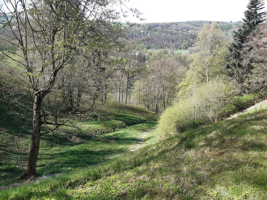 img00073.jpg