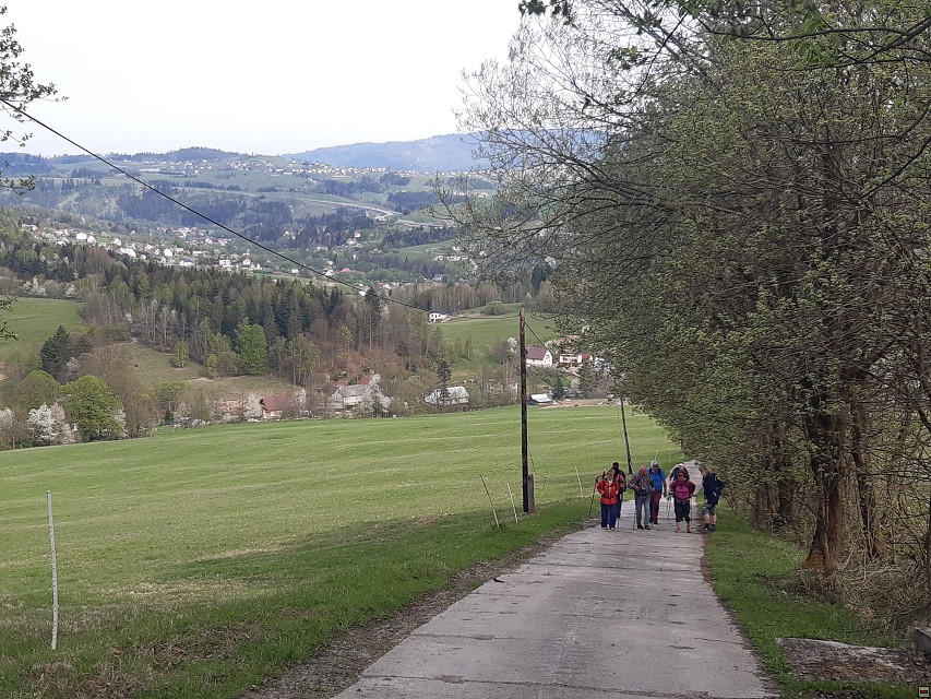 img00005.jpg