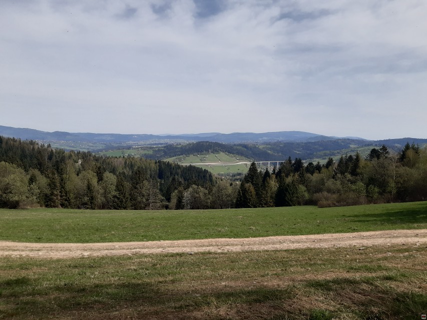 img00010.jpg