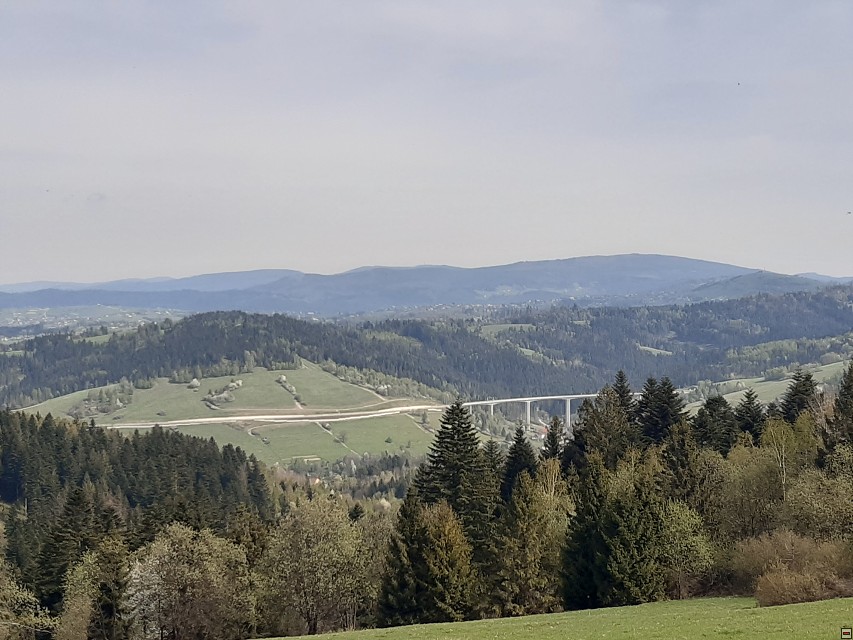 img00011.jpg