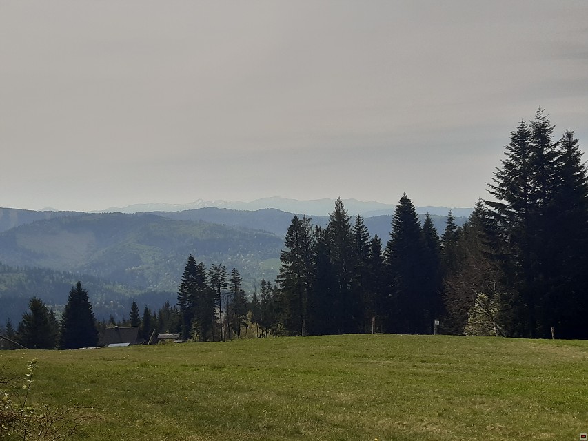 img00013.jpg
