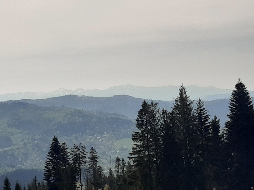 img00014.jpg