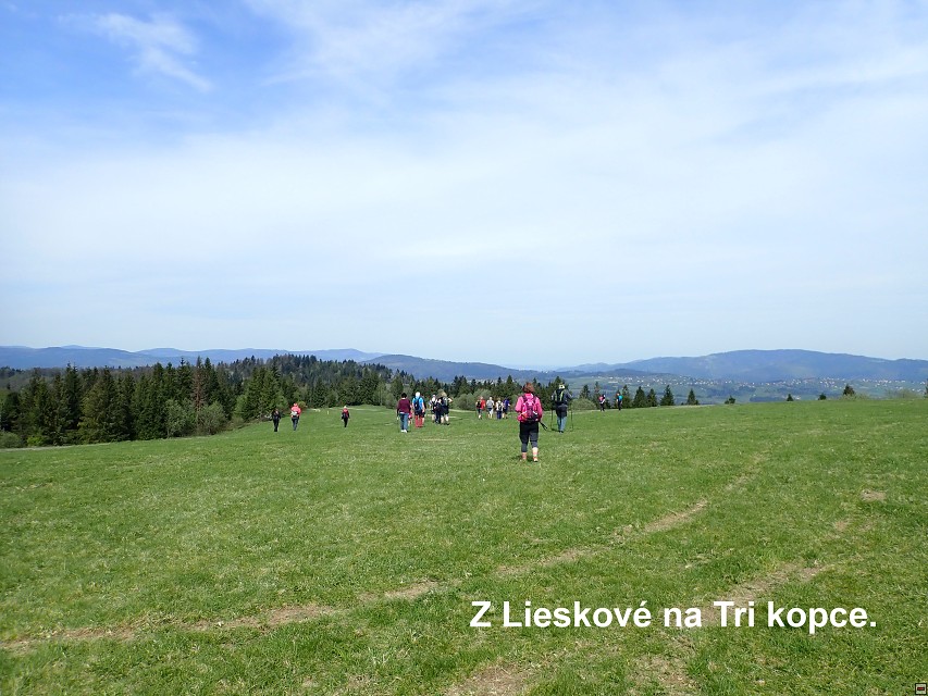 img00015.jpg